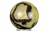 Polished Septarian Sphere - Madagascar #260021-1